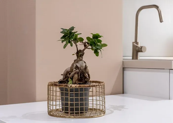 Appartement Marchese 25